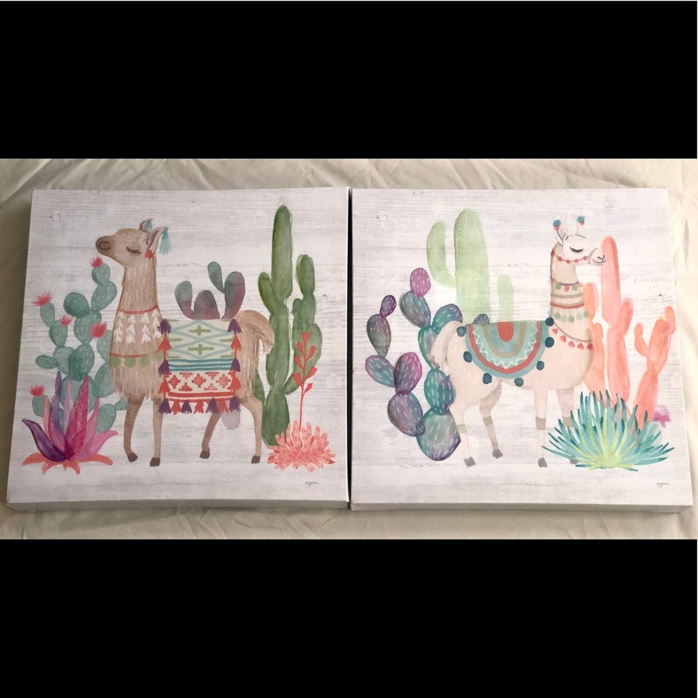 Super Cute Llama Pictures